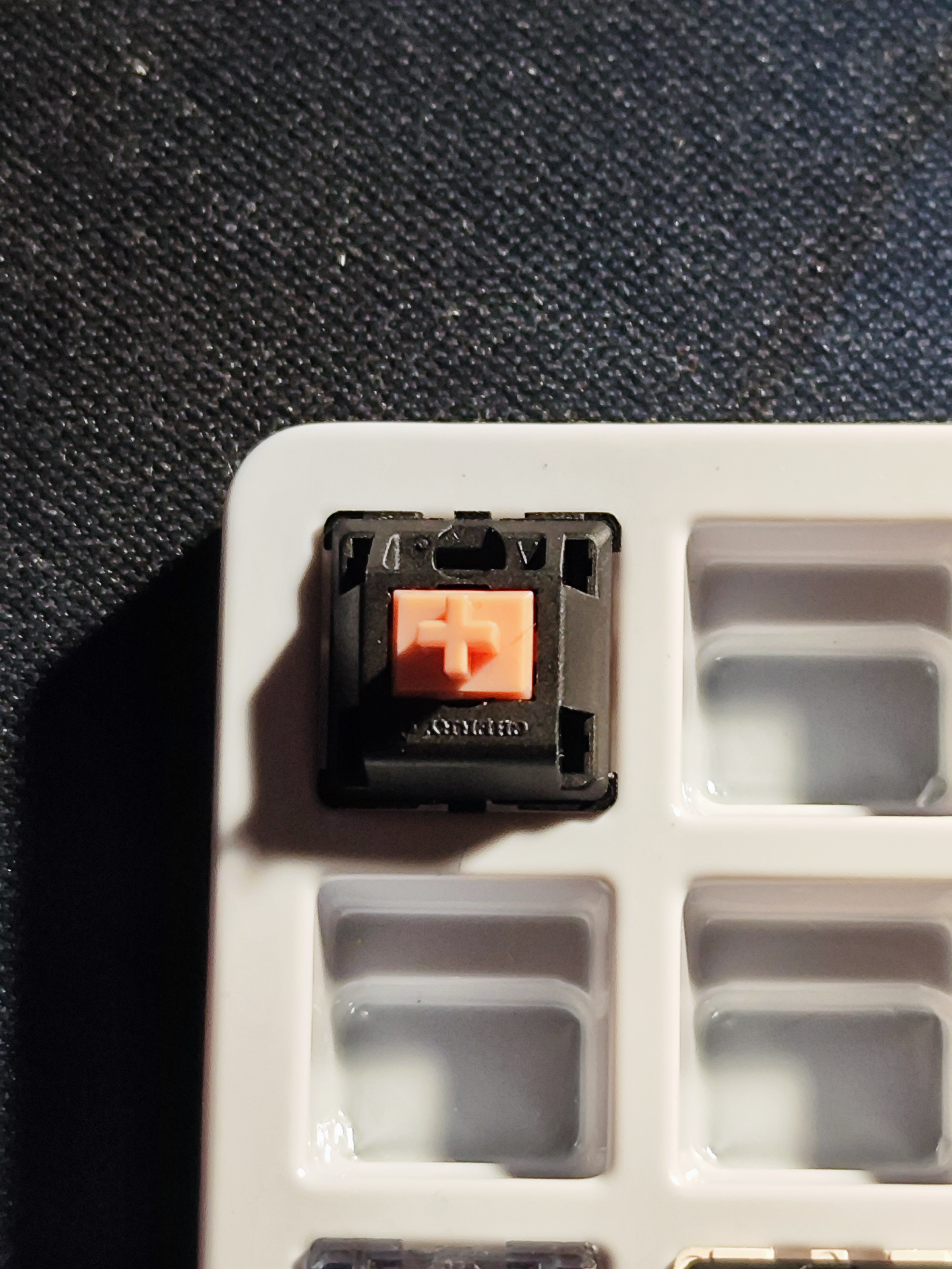 Traveler 75% Carry Case