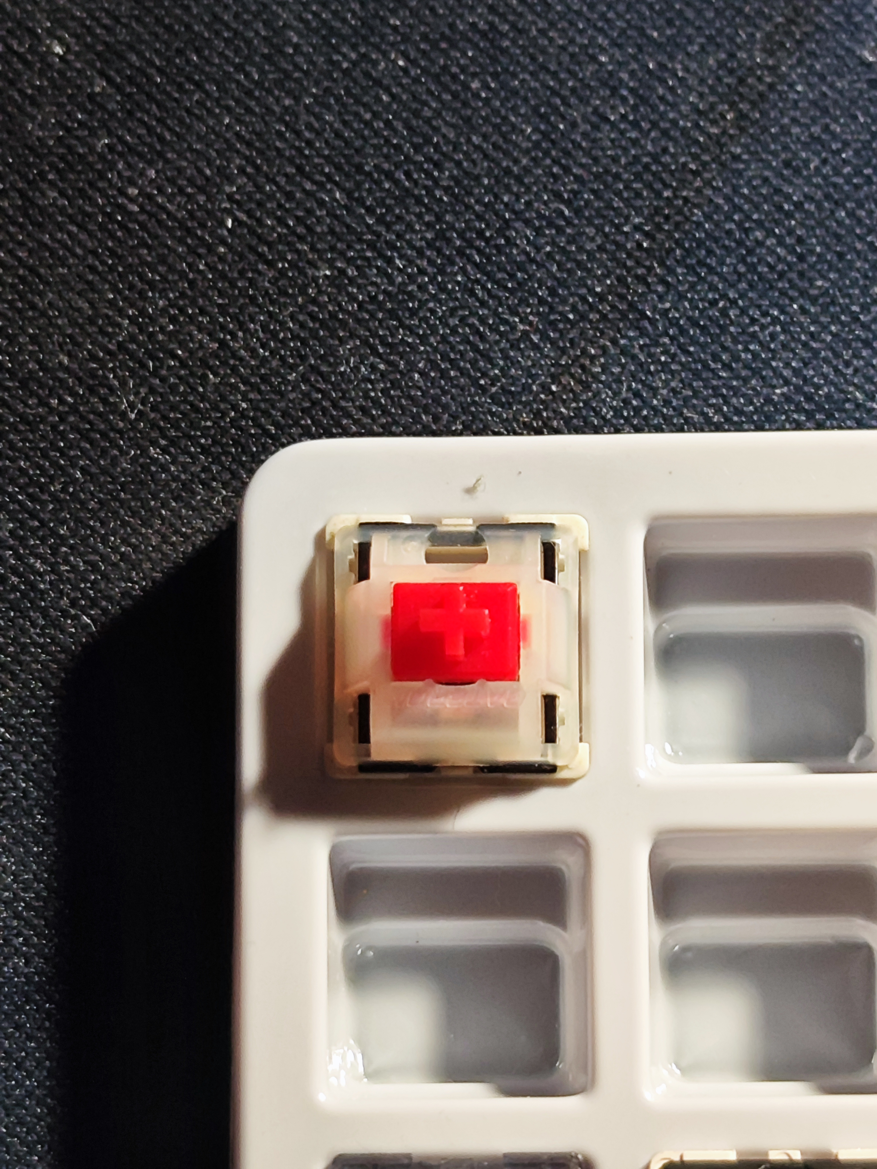 Velvet Switch Films (120x)